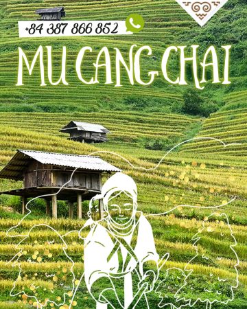 🌿Nord Vietnam Confort – 12 jours