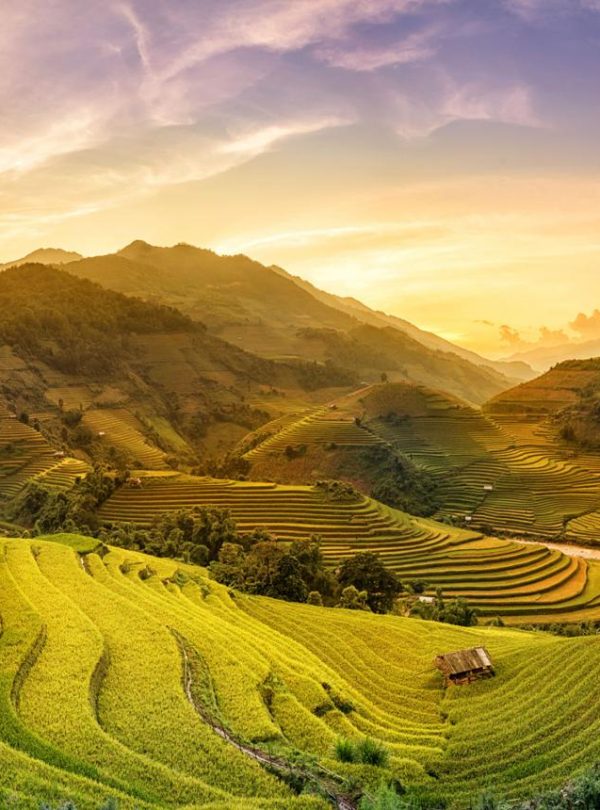 Mu Cang Chai – la poésie des rizières1