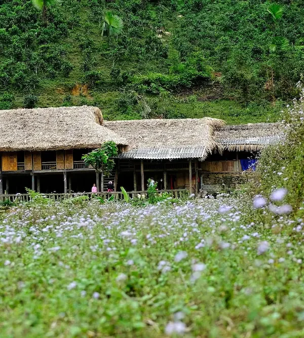 bac ha ban lien