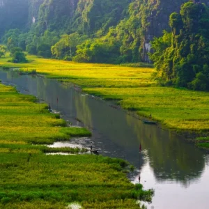 tam coc