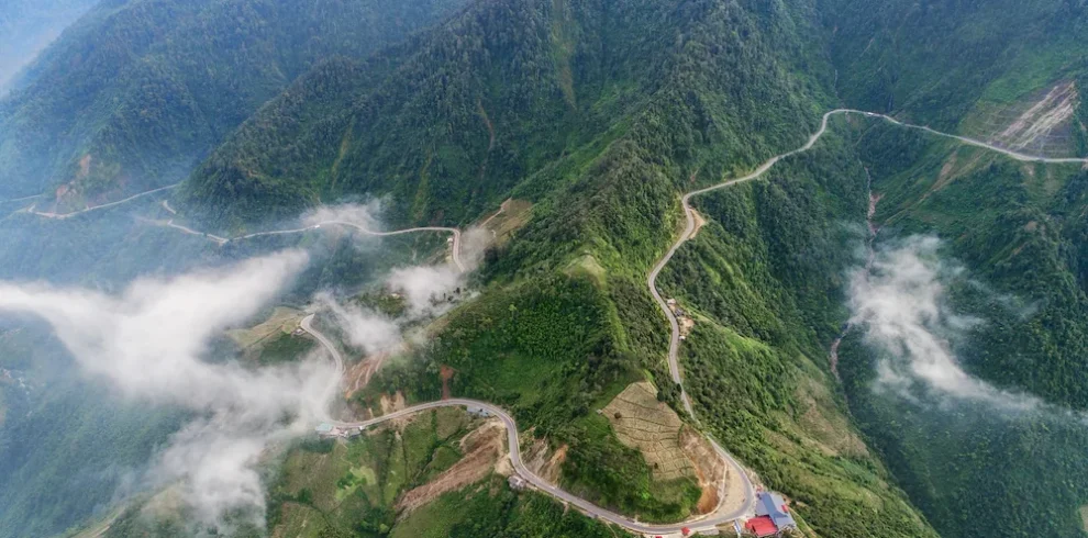 col khau pha mu cang chai