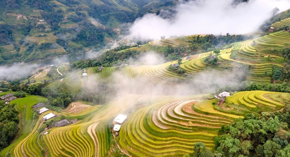 Vue aérienne spectaculaire des rizières en terrasses d'Hoang Su Phi serpentant à travers les montagnes enveloppées de brume.