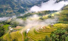 Vue aérienne spectaculaire des rizières en terrasses d'Hoang Su Phi serpentant à travers les montagnes enveloppées de brume.
