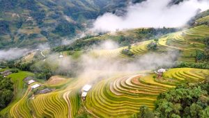 Vue aérienne spectaculaire des rizières en terrasses d'Hoang Su Phi serpentant à travers les montagnes enveloppées de brume.