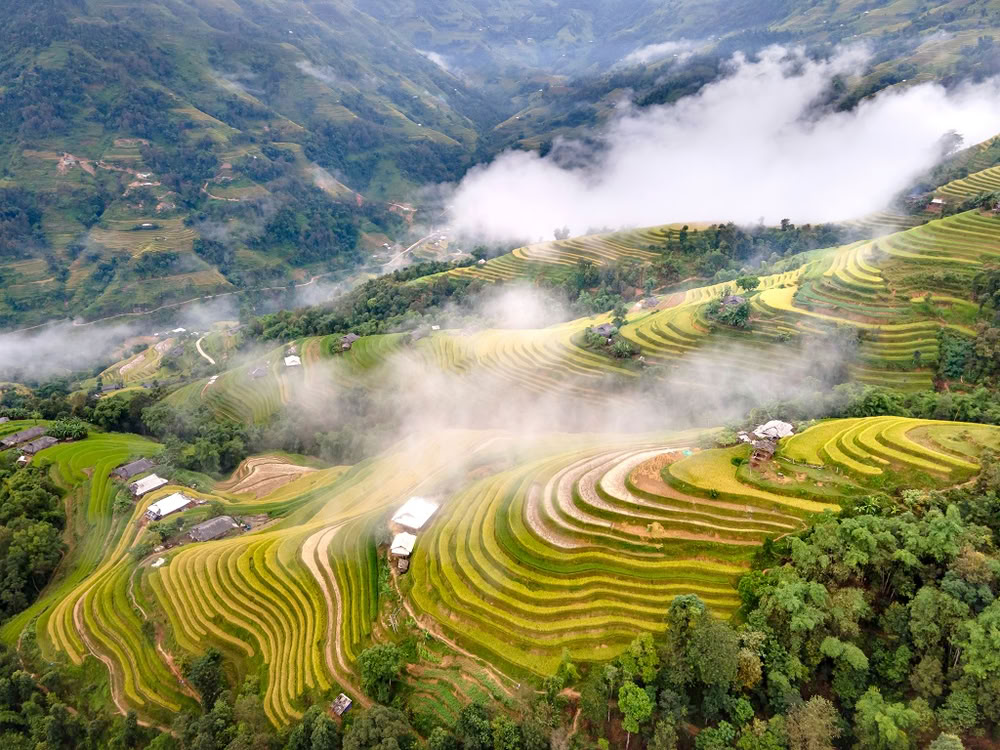 Vue aérienne spectaculaire des rizières en terrasses d'Hoang Su Phi serpentant à travers les montagnes enveloppées de brume.
