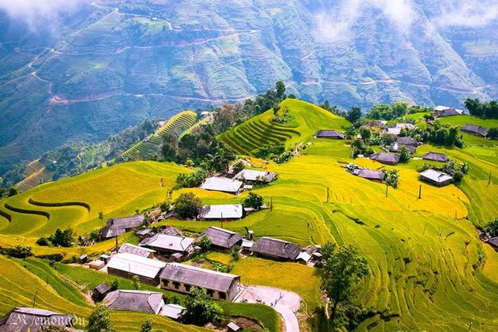 Panorama verdoyant et doré sur un village traditionnel niché au cœur des rizières en terrasses à Hoang Su Phi.