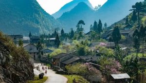 Le paisible village de Phó Bảng niché au cœur d'une vallée entourée de montagnes majestueuses.