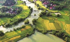 Champs de riz dorés longeant la rivière Quây Sơn