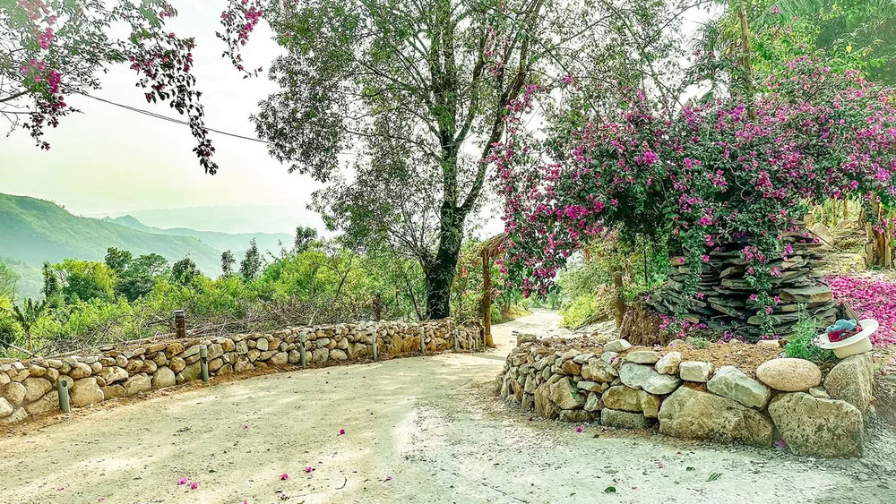 Un chemin bordé de clôtures en pierre et de fleurs dans le village traditionnel de Sin Suối Hồ, à Lai Chau.